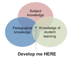 Subject-Specific or Pedagogy Blogs.
